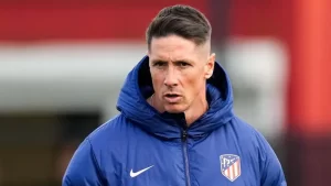 Fernando Torres