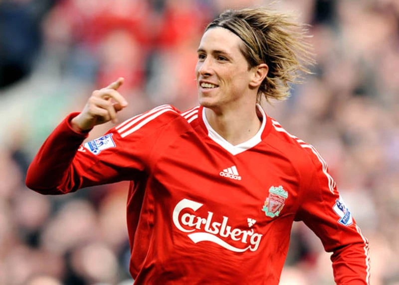 Fernando Torres là ai
